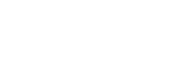 SWF Logo